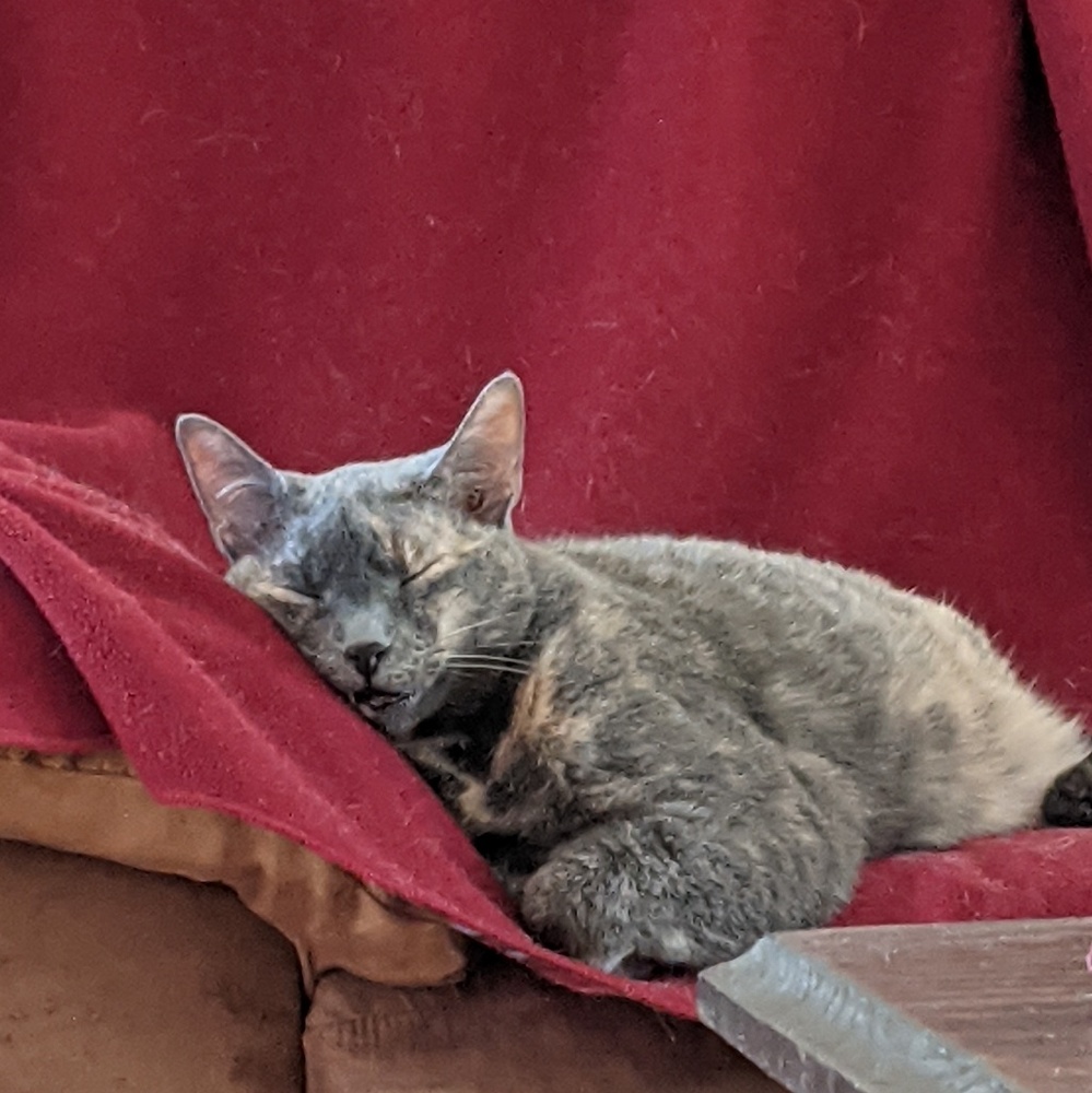 Meet your Posher, Donna